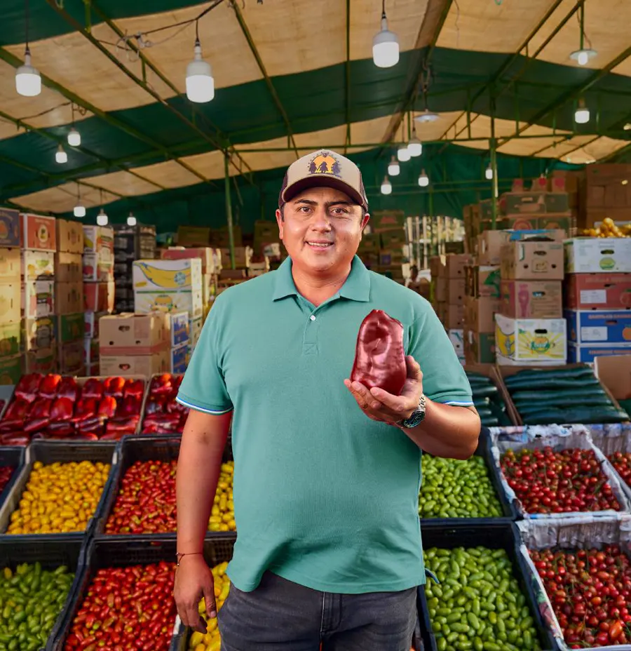 Lo Valledor · locatario entre cajas de verduras